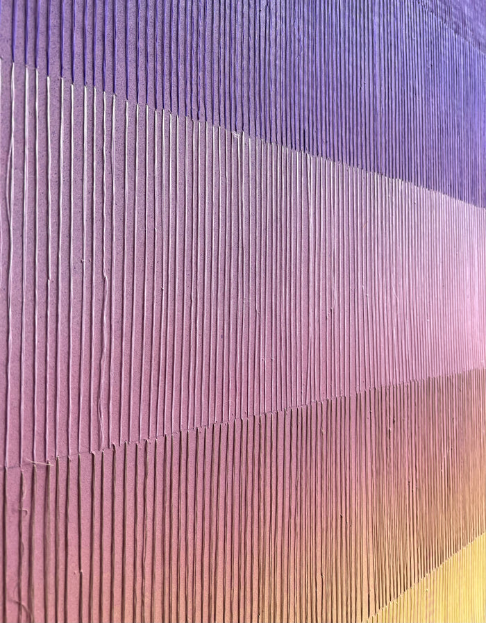 Colour Vision Collection