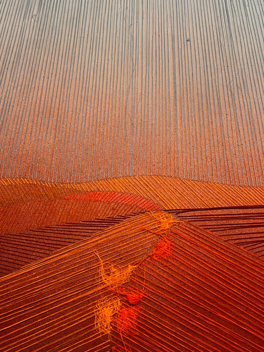 Sahara