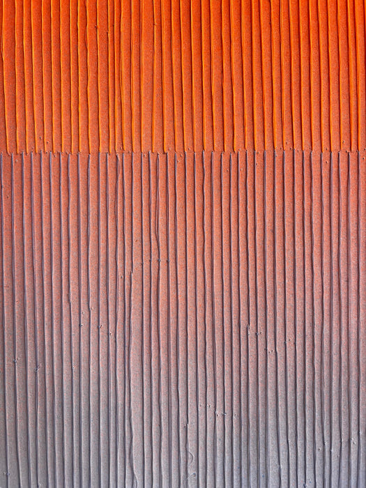 Colour Vision 29