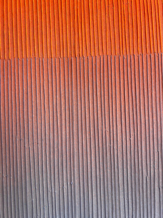 Colour Vision 29