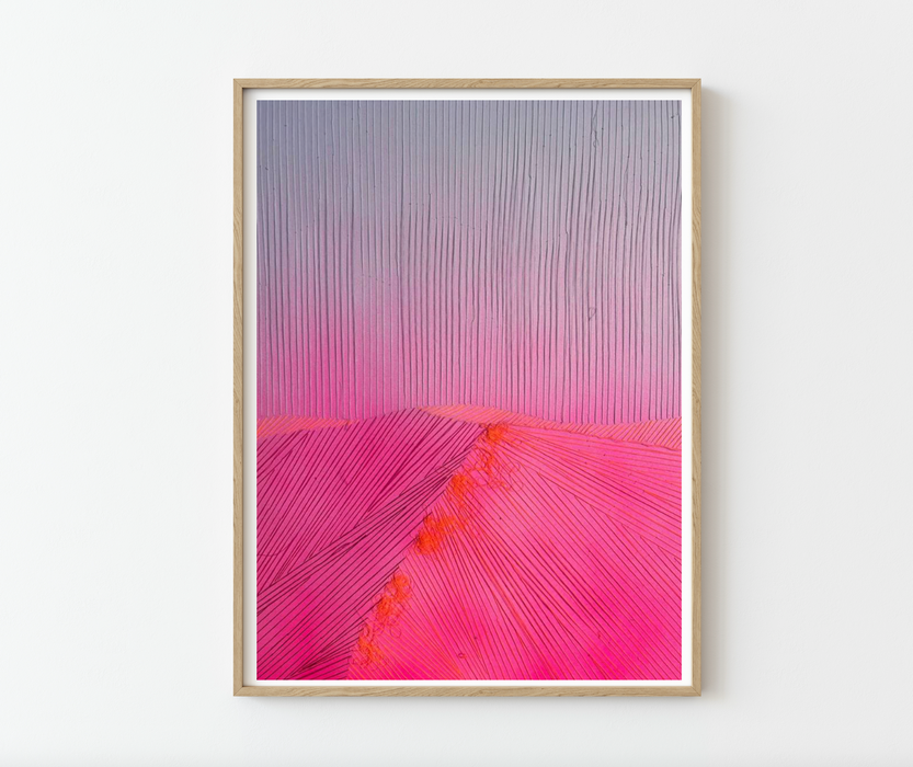 Sahara 8